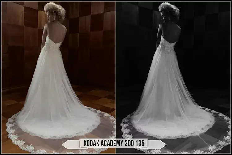Eastman Kodak Black and White Films LUTs - Gallery Image