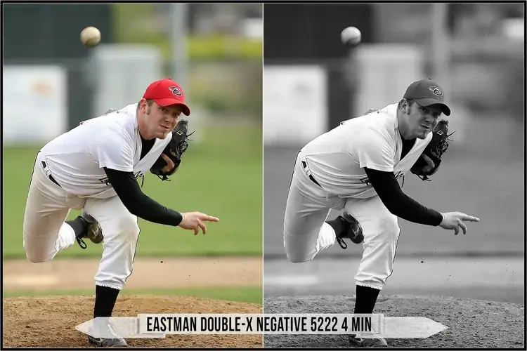 Eastman Kodak Black and White Films LUTs - Gallery Image