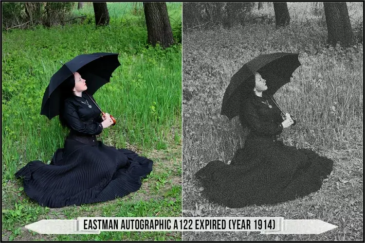 Eastman Kodak Black and White Films LUTs - Gallery Image