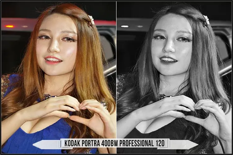 Eastman Kodak Black and White Films LUTs - Gallery Image