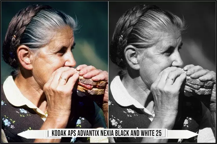 Eastman Kodak Black and White Films LUTs - Gallery Image