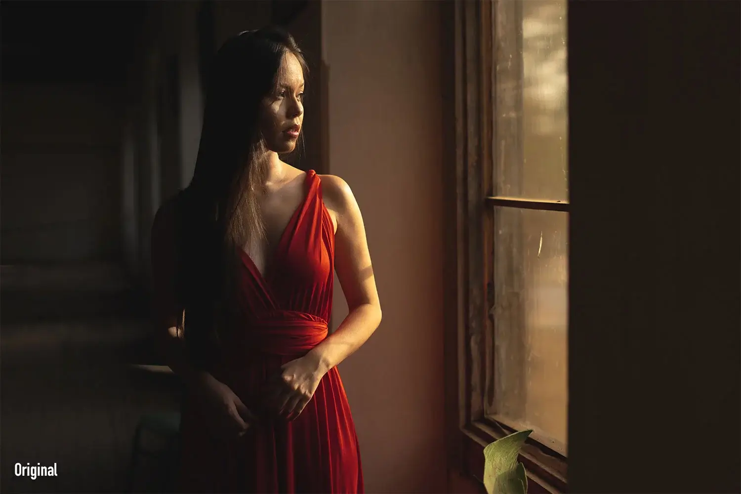 Fine Portraits LUTs before