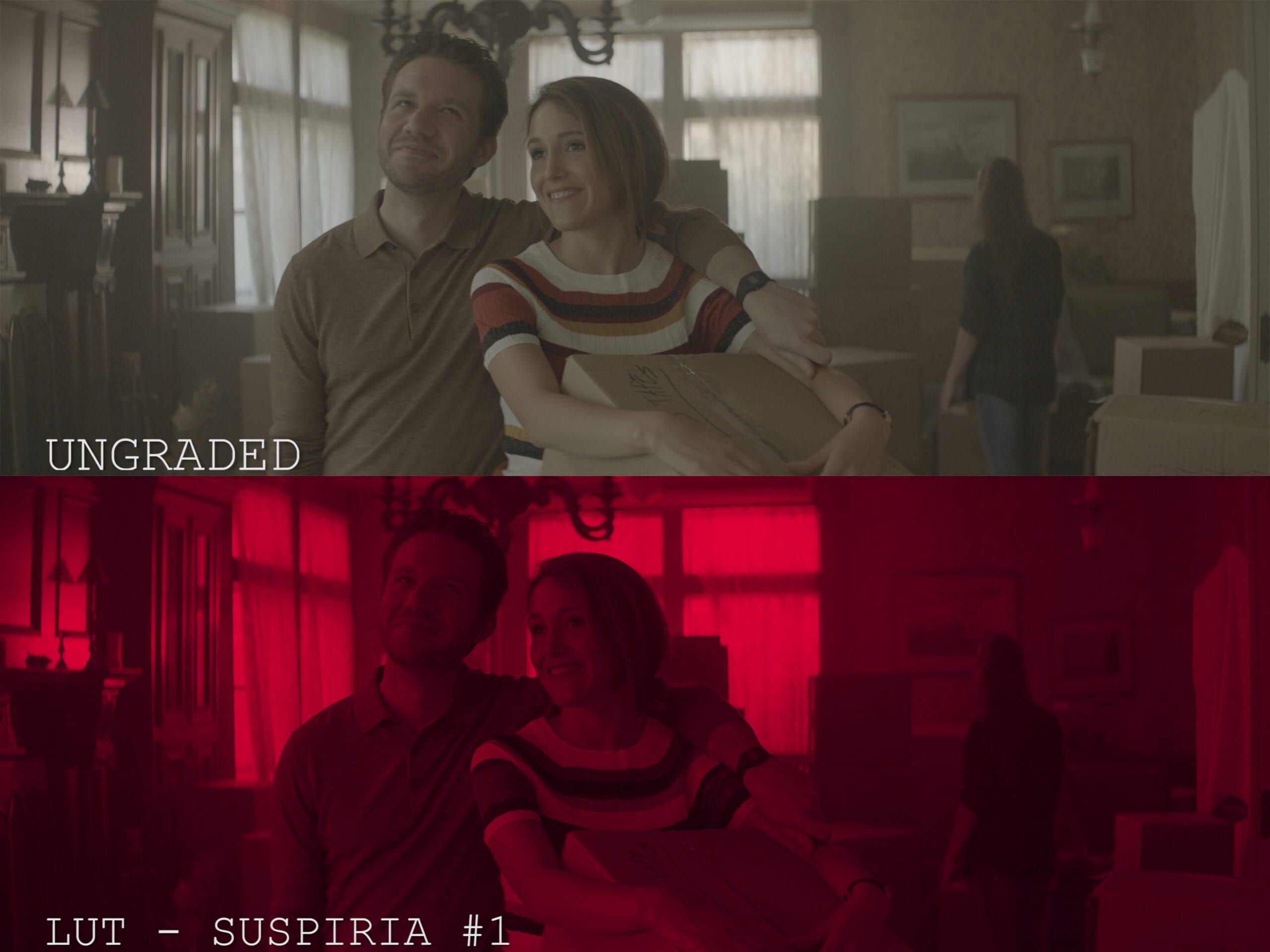 Horror LUTs V1