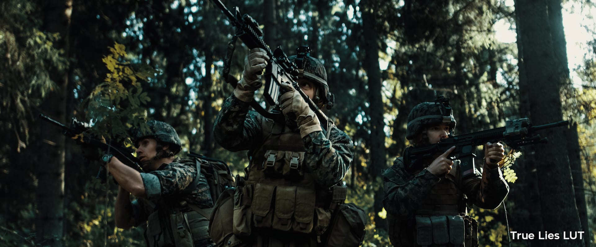 Action Film LUTs after