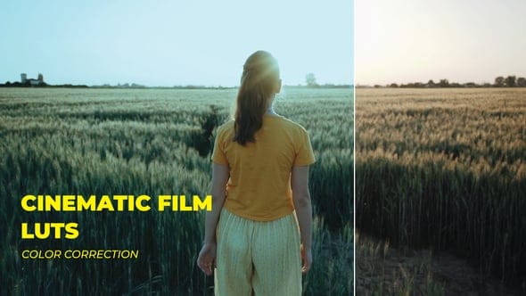 LUTs Cinematic Film