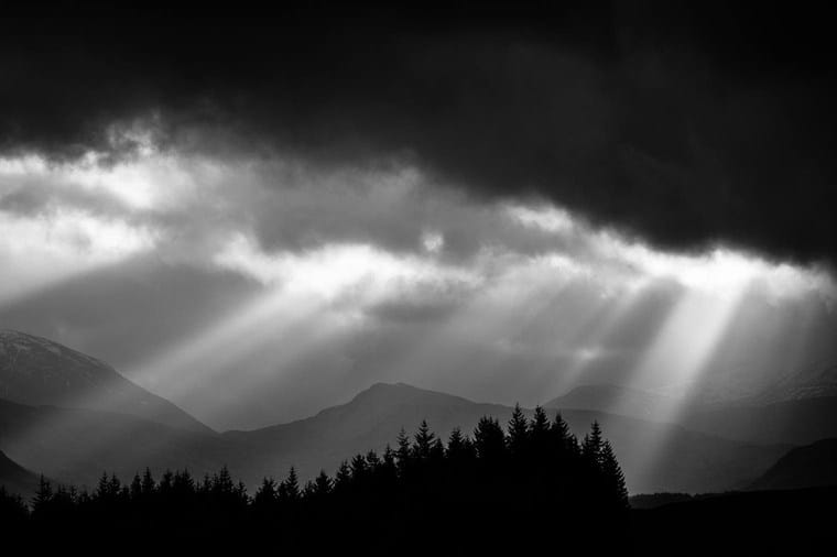 Master Collection 3 Capture One Style packs after