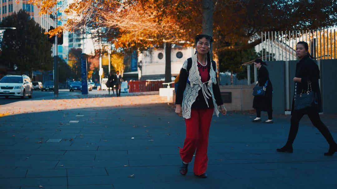 LUTs Color Grading Pack after