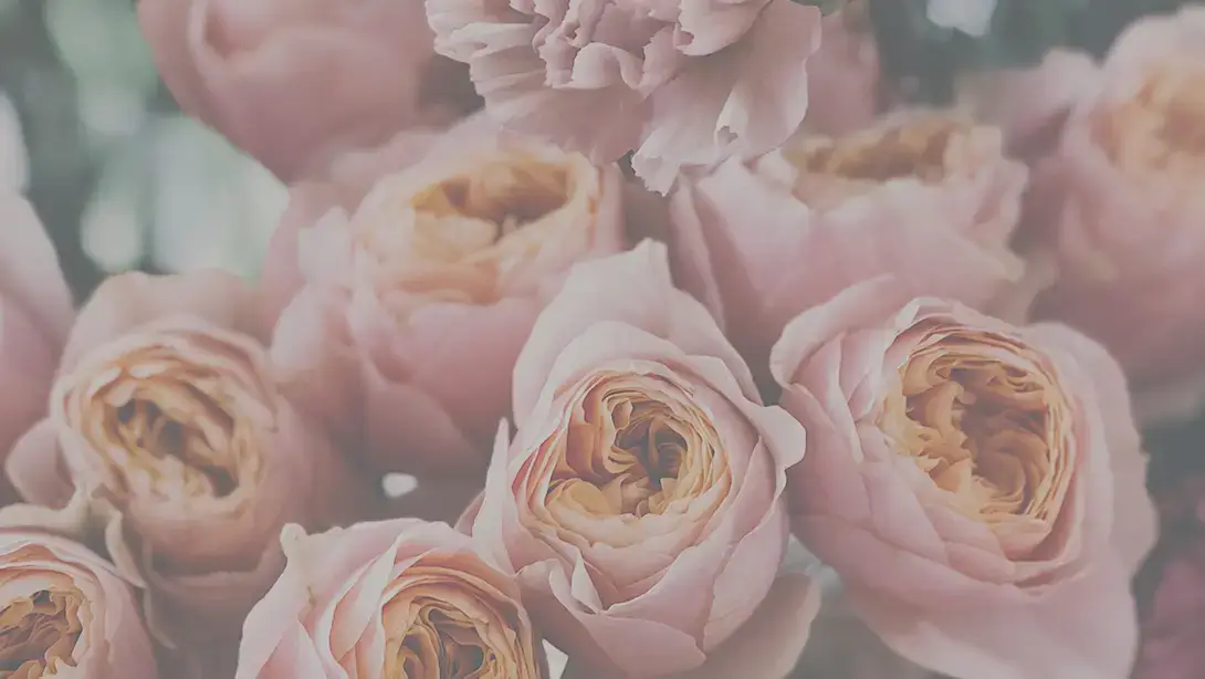 25 Professional LUTs for Wedding Videos MLUT Film before