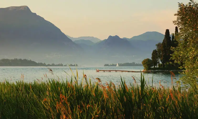 50 Expert mLUTs Film 3 after