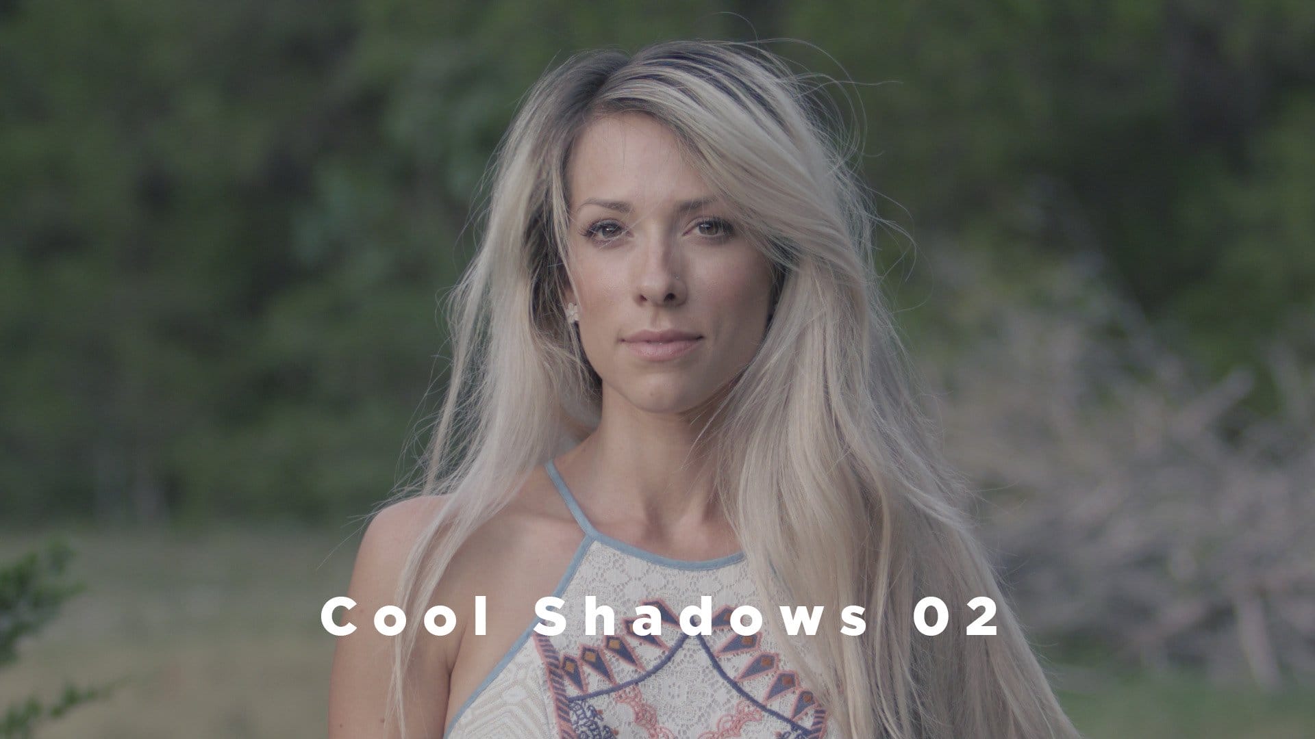 Theo Miesner Swiss Video LUTs after