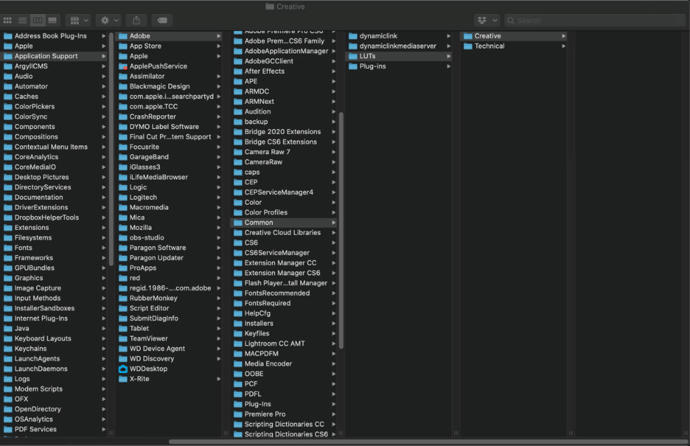 How to Install LUTs in Adobe Premiere Pro 2025