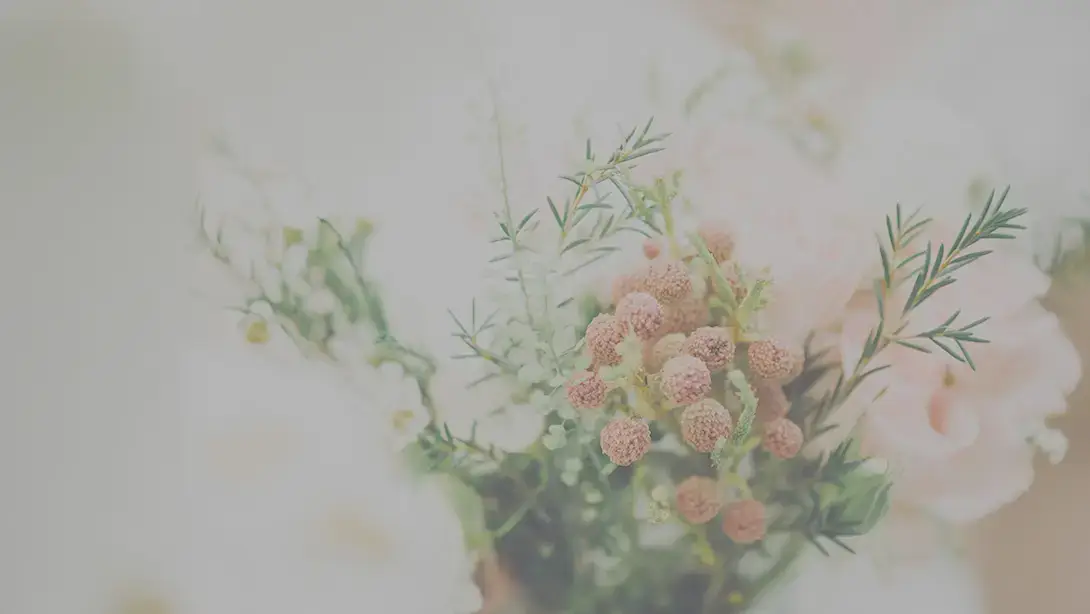 25 Professional LUTs for Wedding Videos MLUT Film before