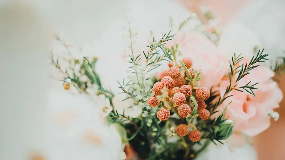 25 Professional LUTs for Wedding Videos MLUT Film after