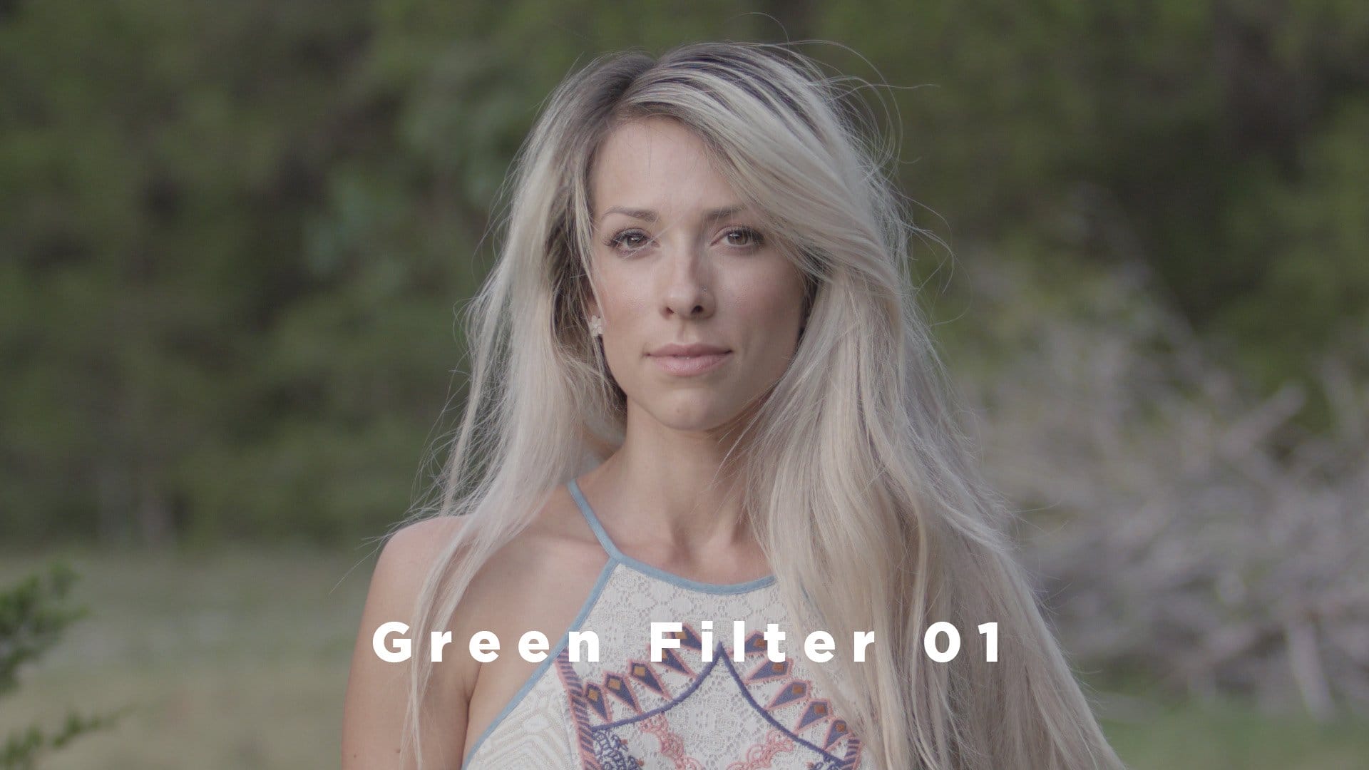Theo Miesner Swiss Video LUTs after
