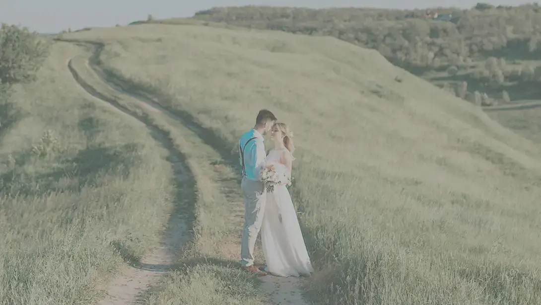 25 Professional LUTs for Wedding Videos MLUT Film before