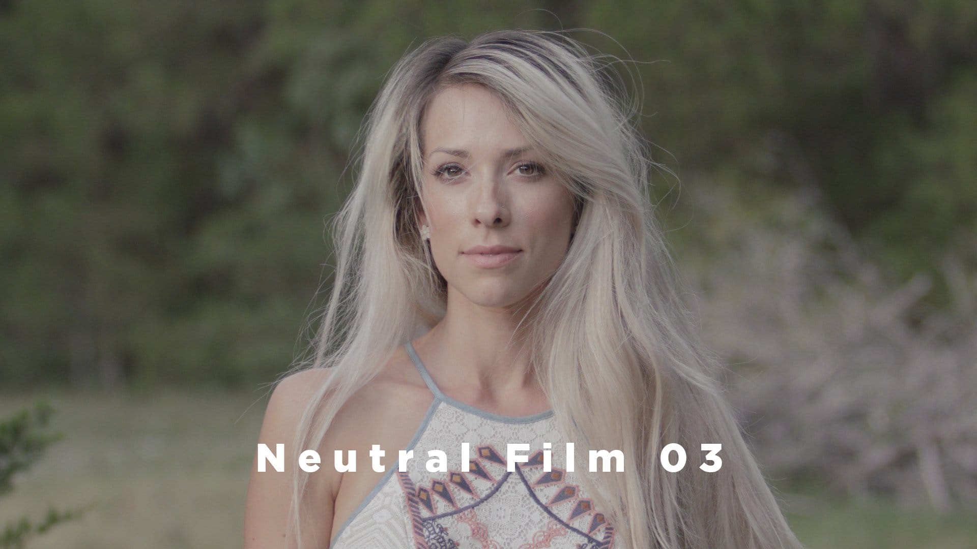 Theo Miesner Swiss Video LUTs after