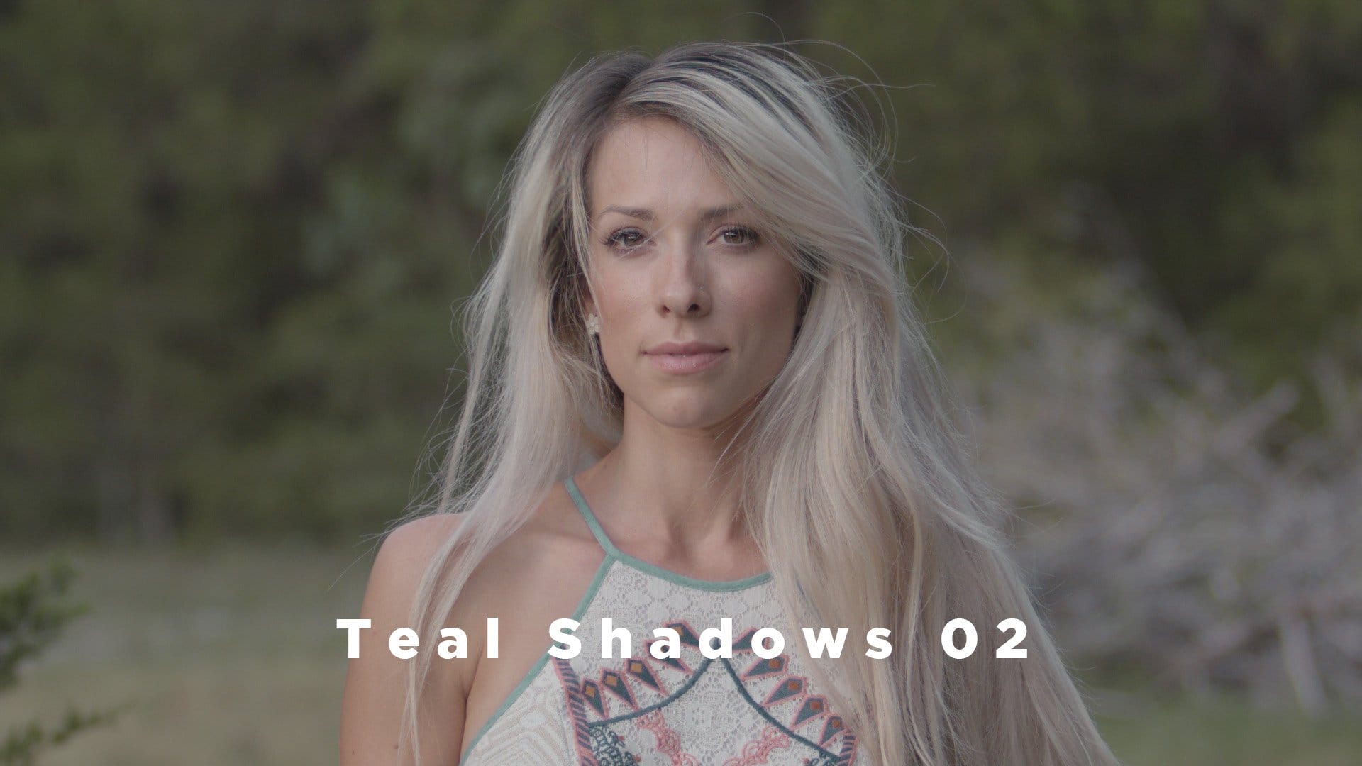 Theo Miesner Swiss Video LUTs after