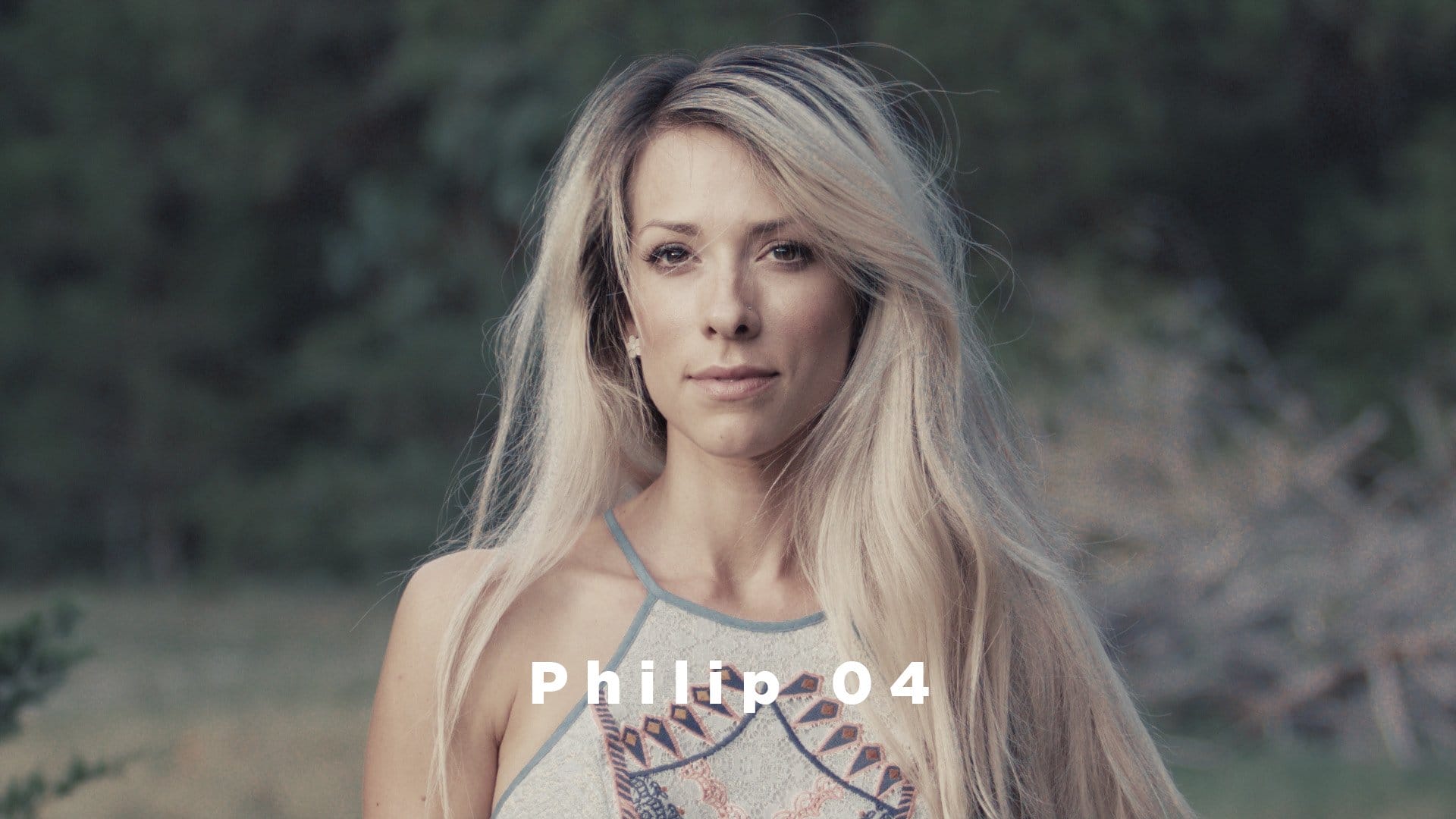 Theo Miesner Swiss Video LUTs after