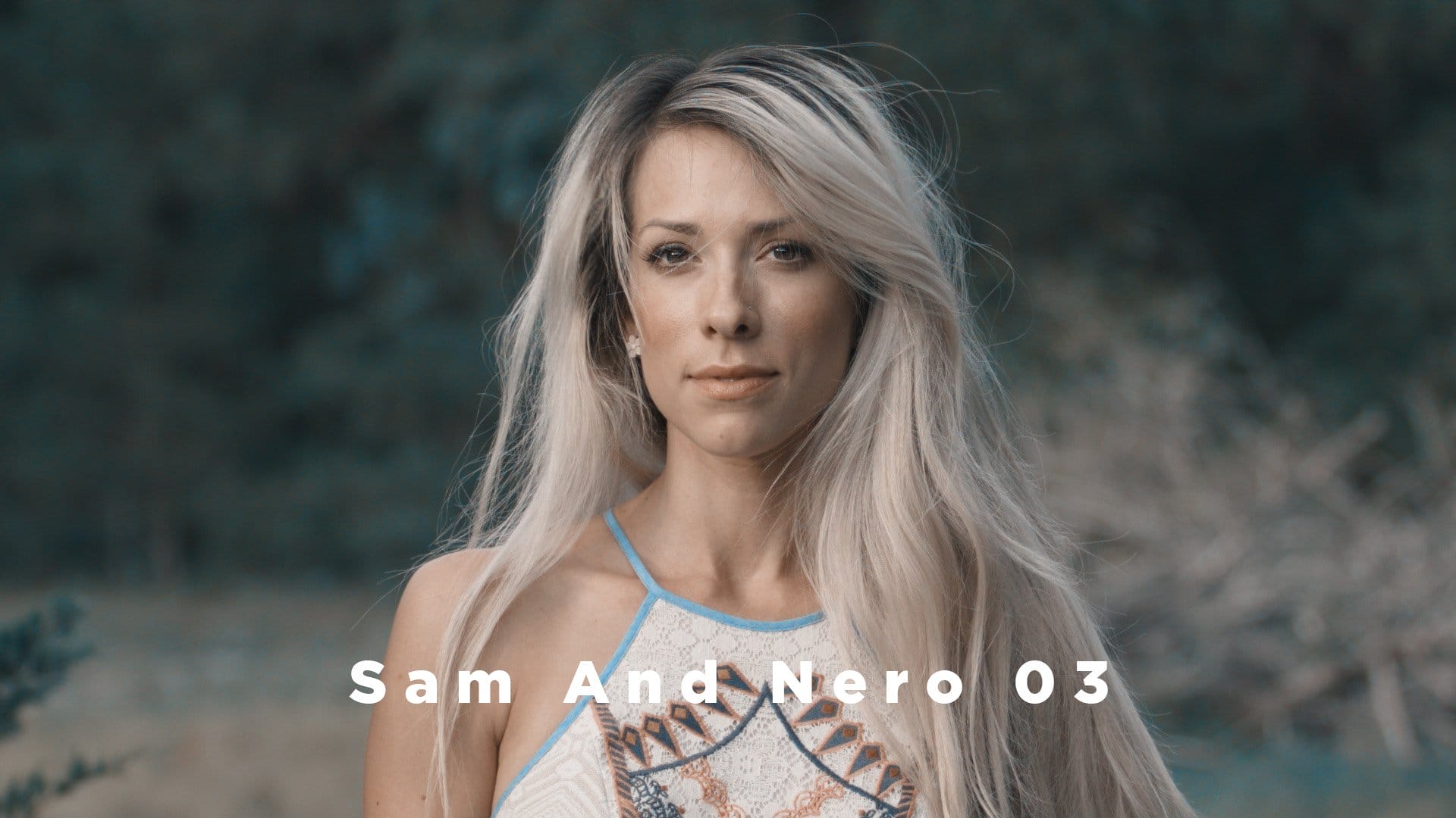 Theo Miesner Swiss Video LUTs after