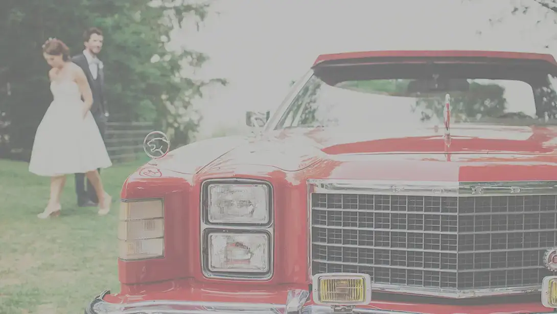 25 Professional LUTs for Wedding Videos MLUT Film before