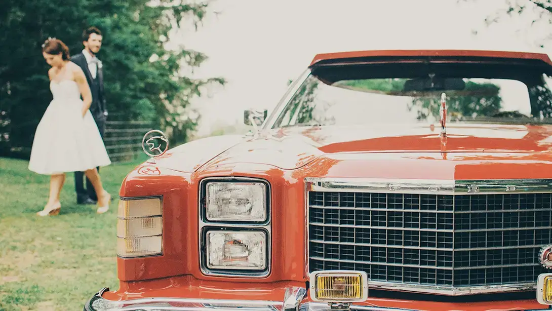 25 Professional LUTs for Wedding Videos MLUT Film after