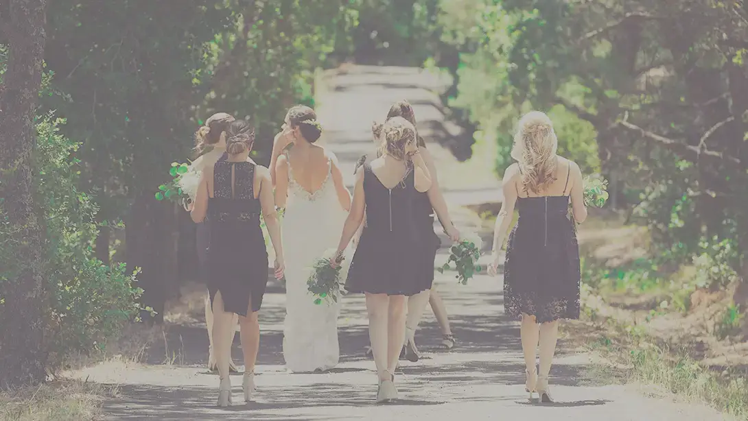 25 Professional LUTs for Wedding Videos MLUT Film before