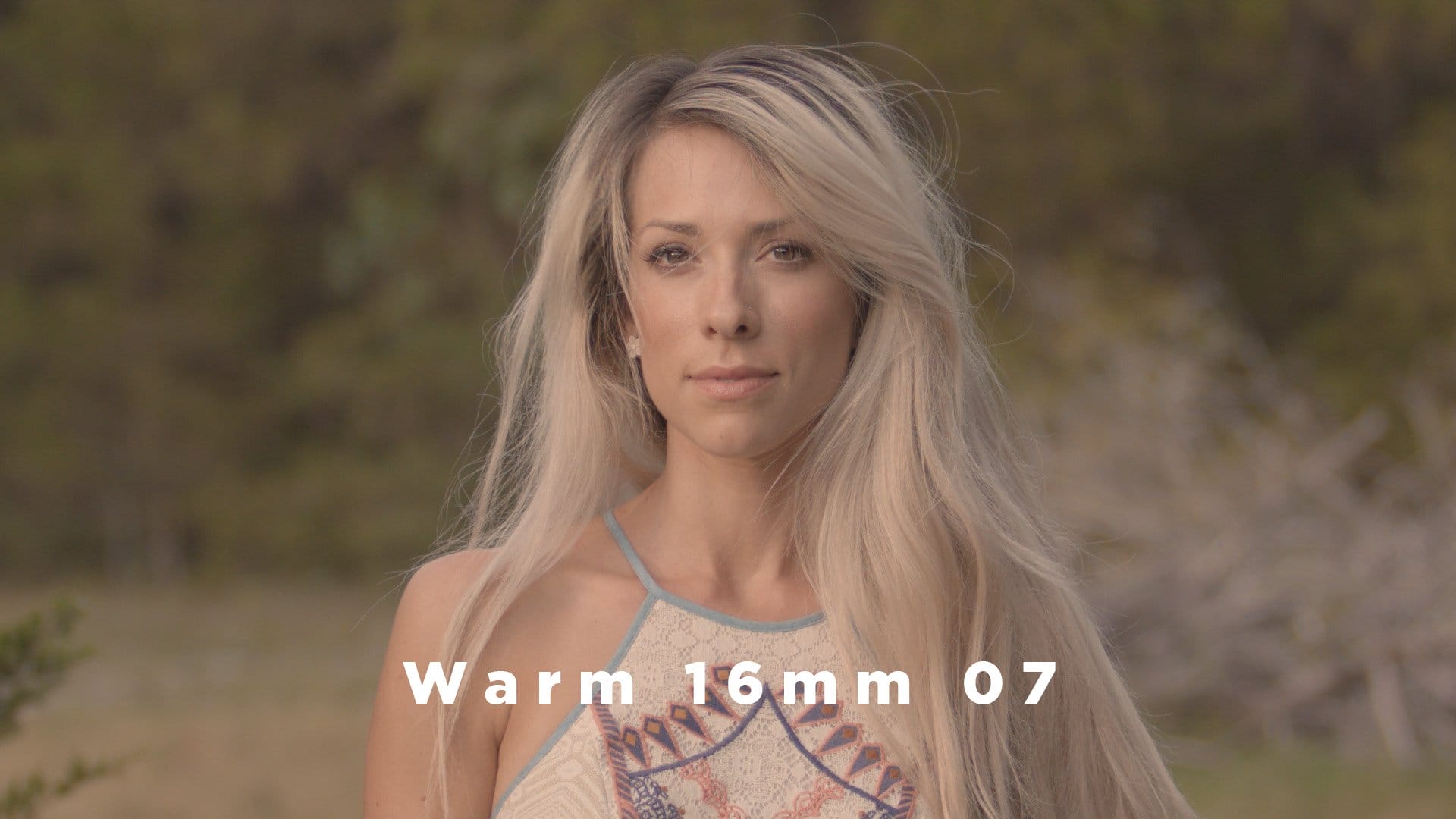 Theo Miesner Swiss Video LUTs after