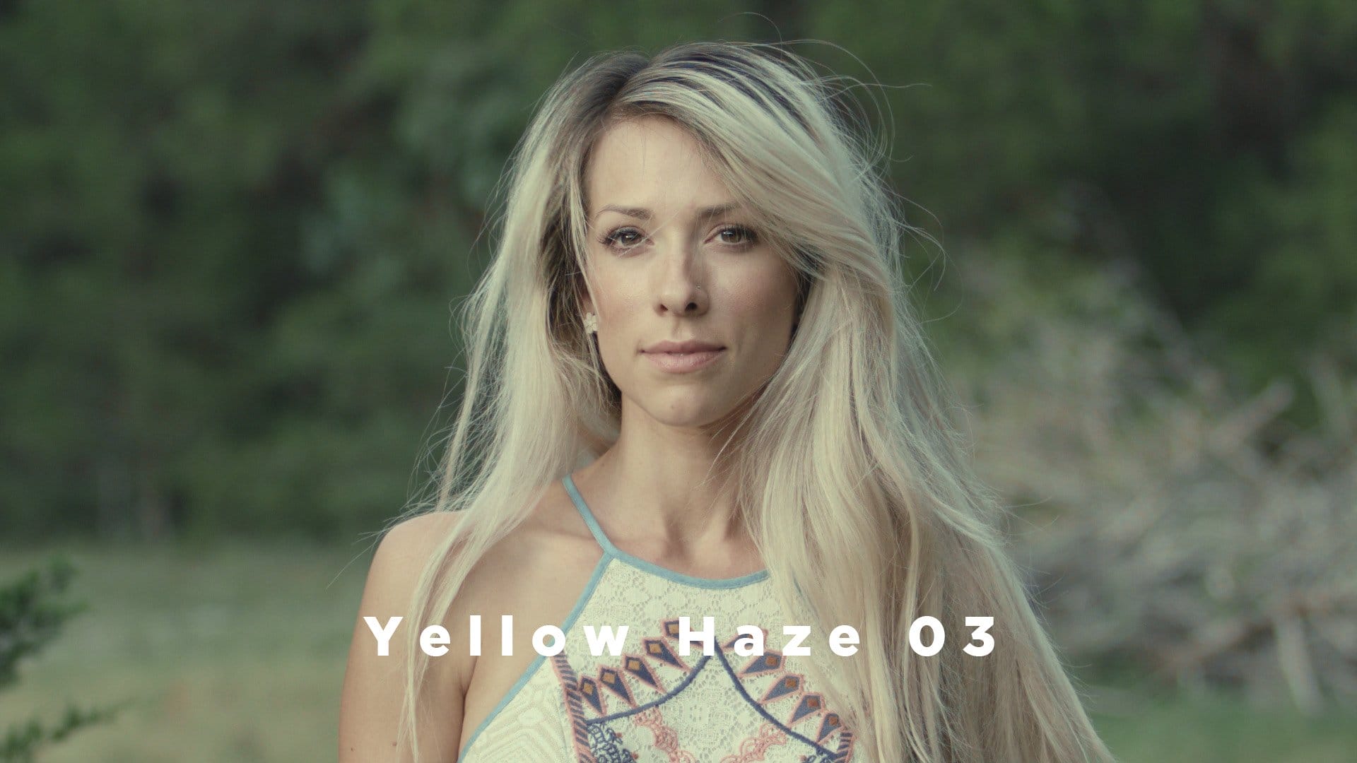 Theo Miesner Swiss Video LUTs after