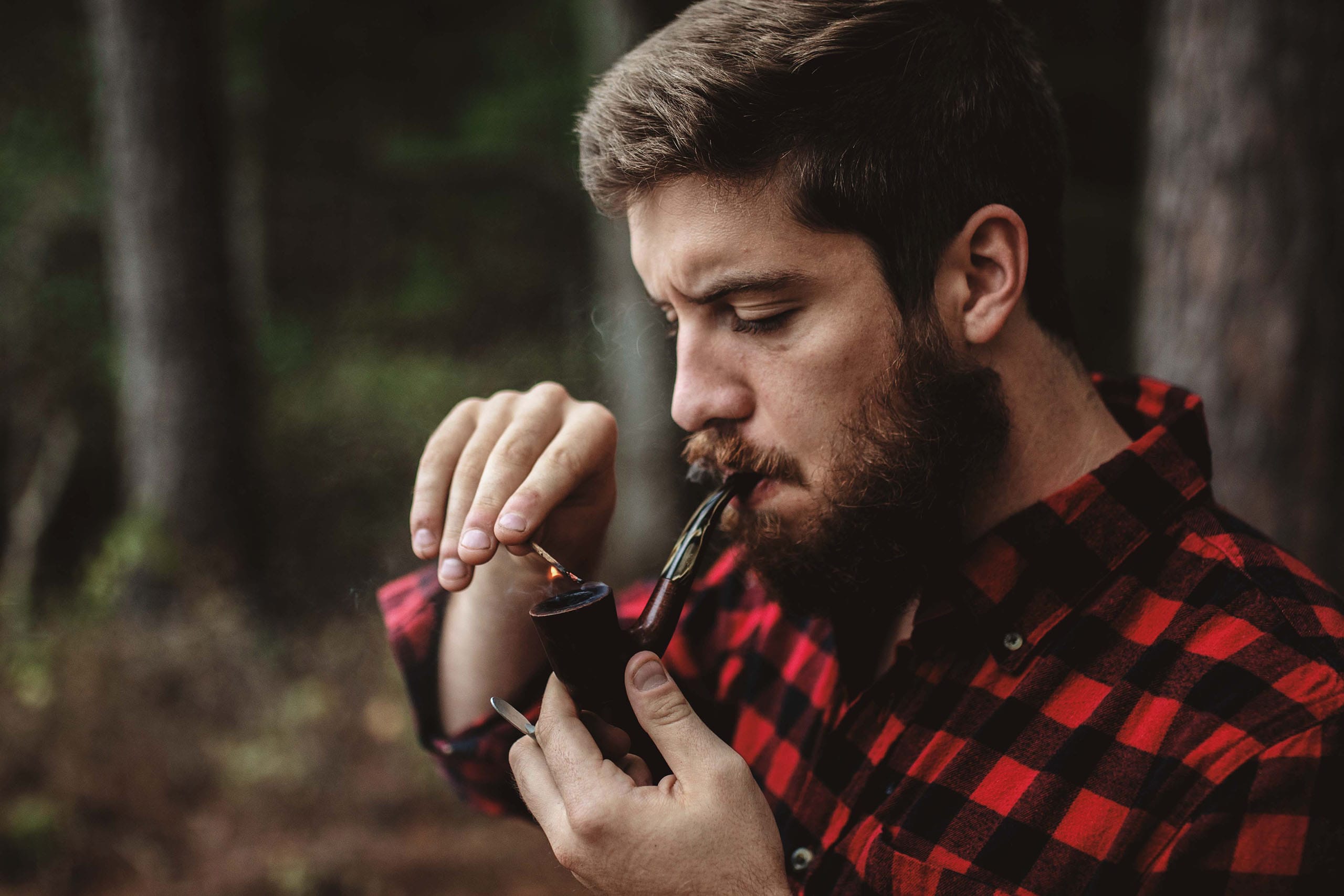 Beatnik Hipster Cinematic 3D LUTs after