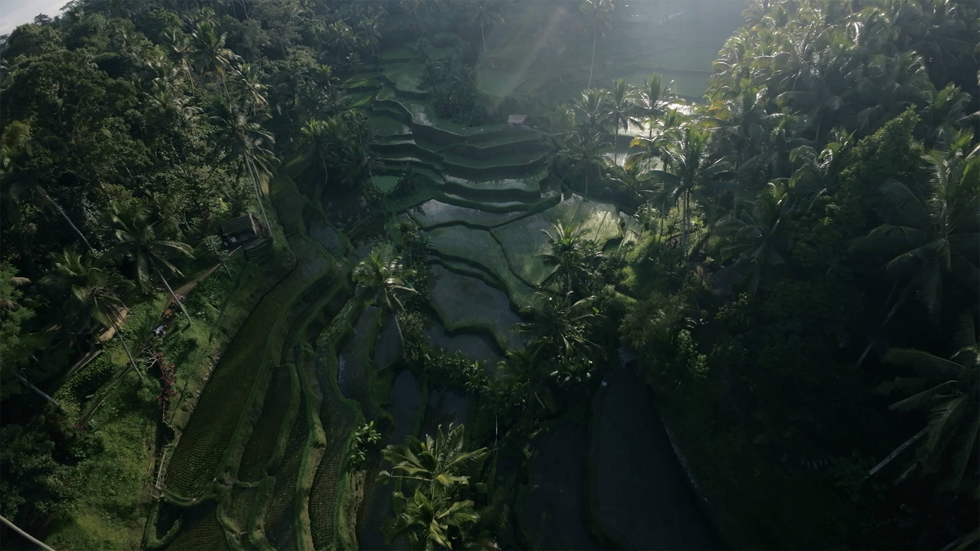 JustKay DJI Avata LUTs after