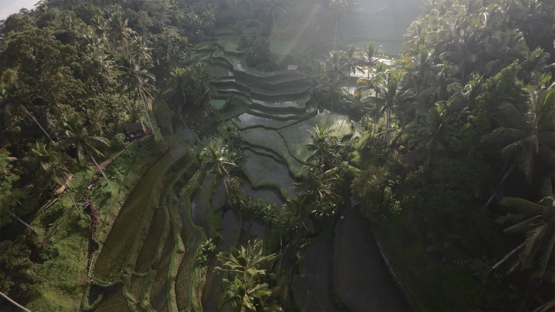 JustKay DJI Avata LUTs before