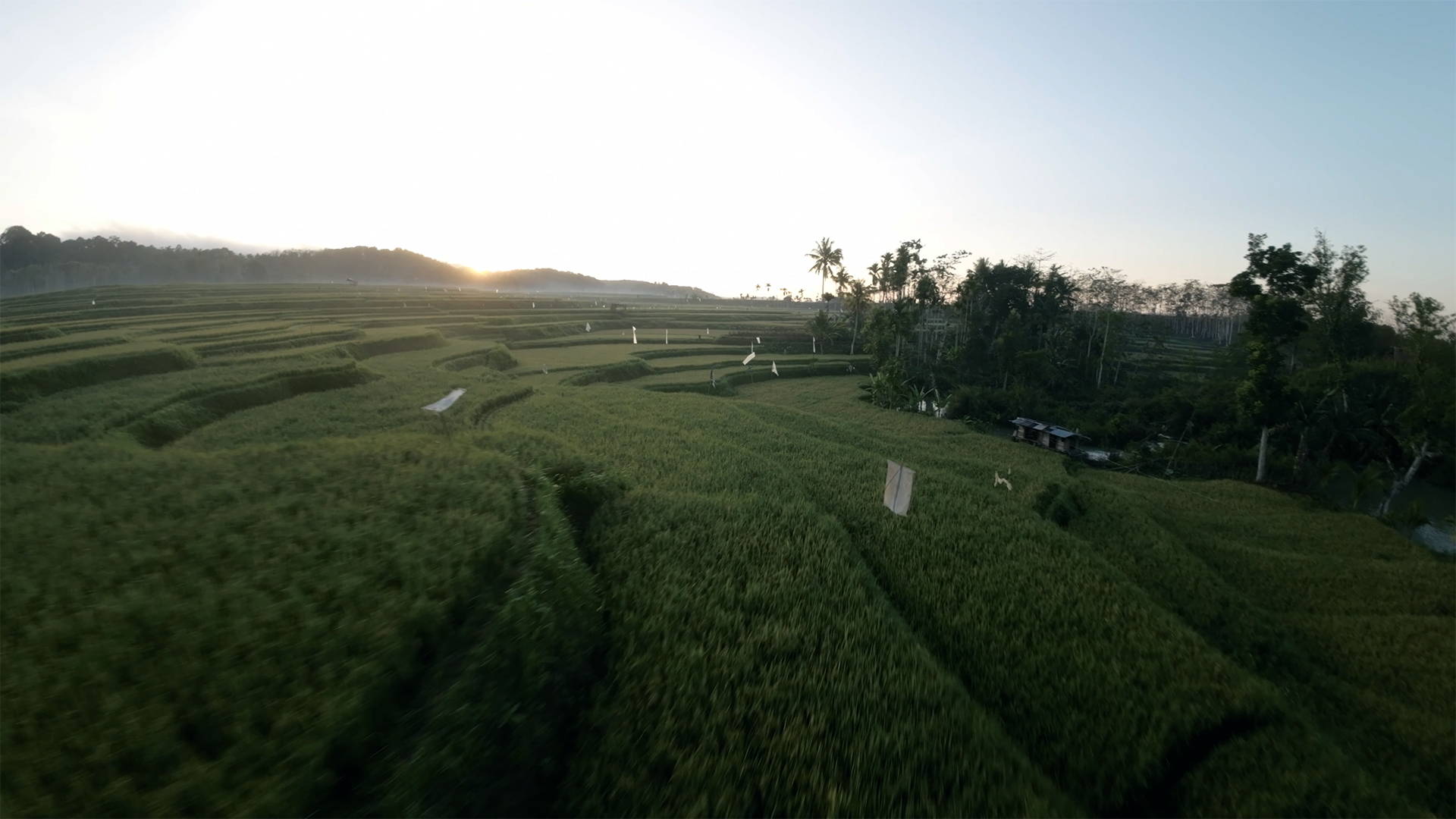 JustKay DJI Avata LUTs after