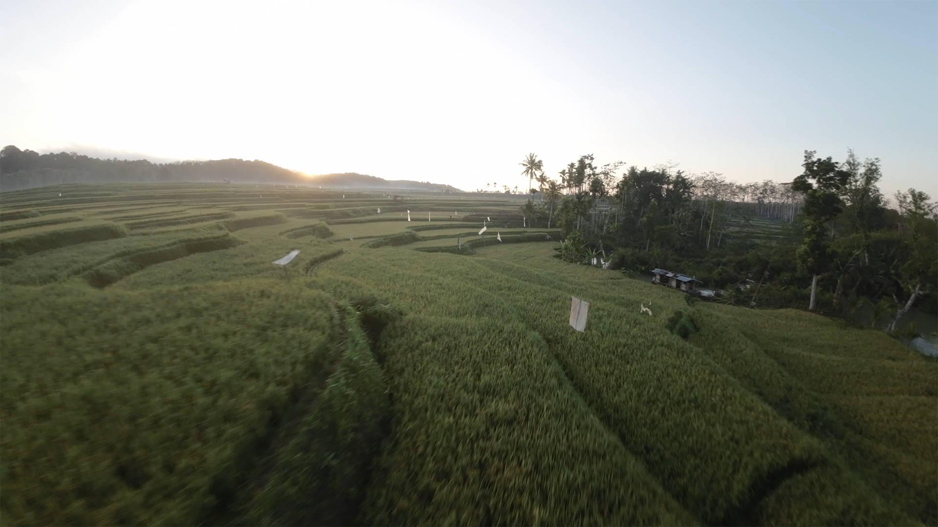 JustKay DJI Avata LUTs before