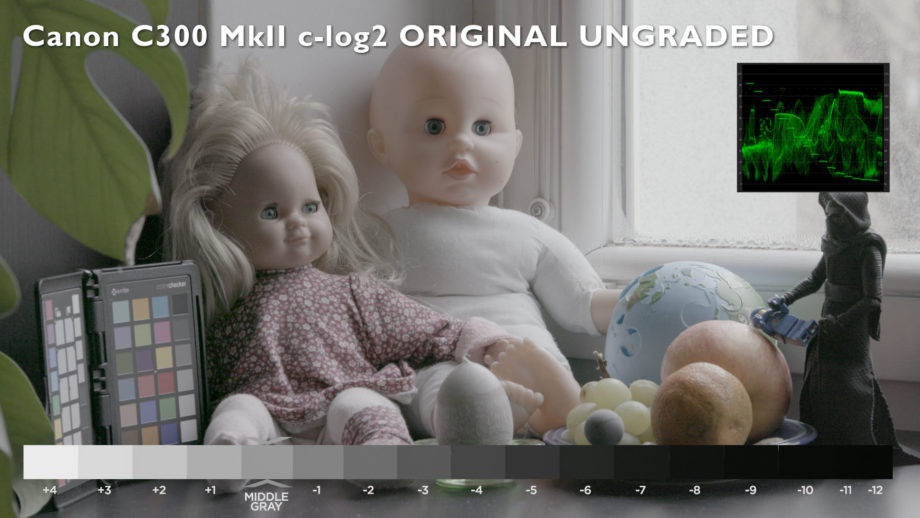 NTEK 1047 Filmstock 5247 Emulation LUT before