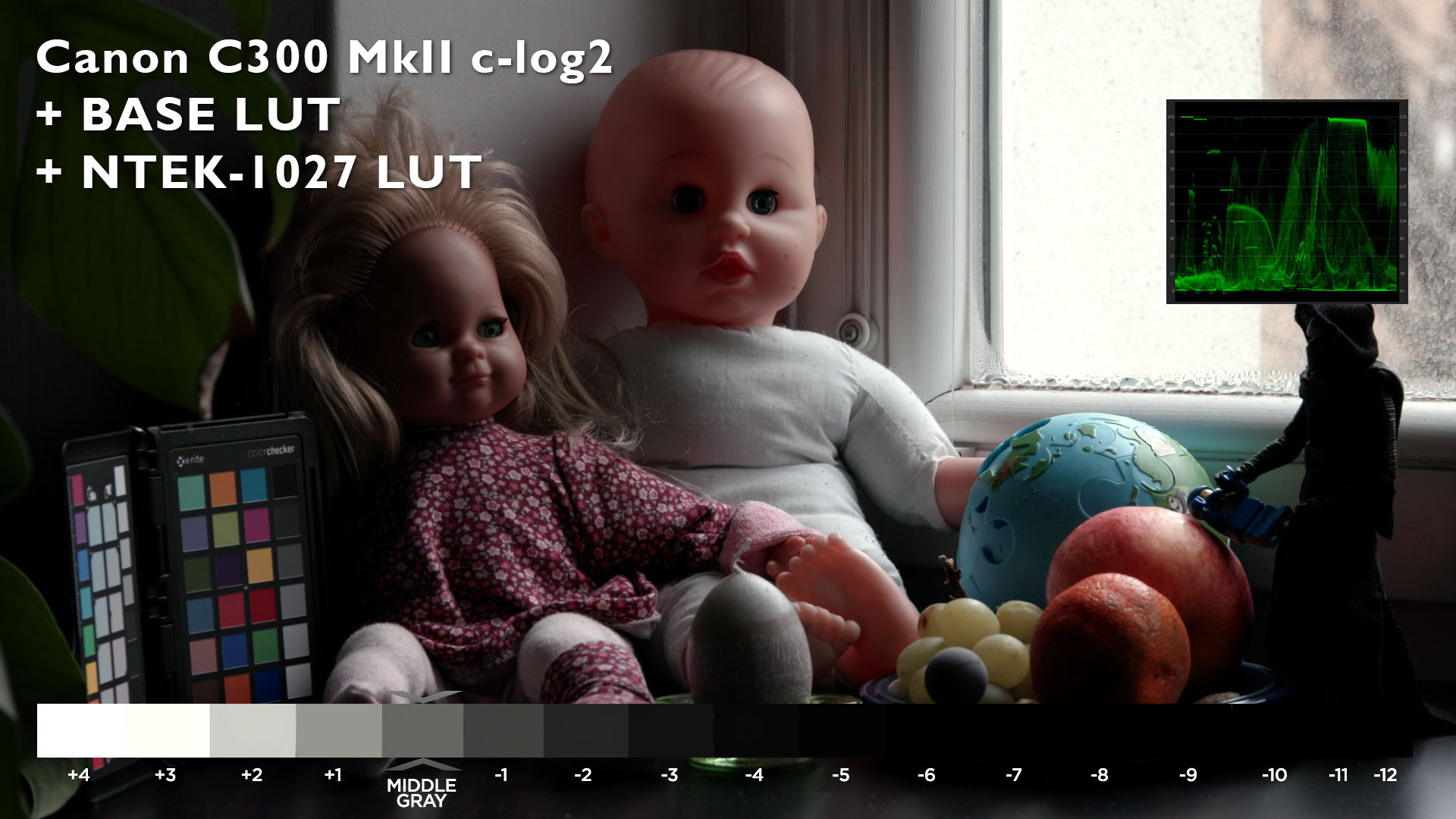 NTEK 1047 Filmstock 5247 Emulation LUT after