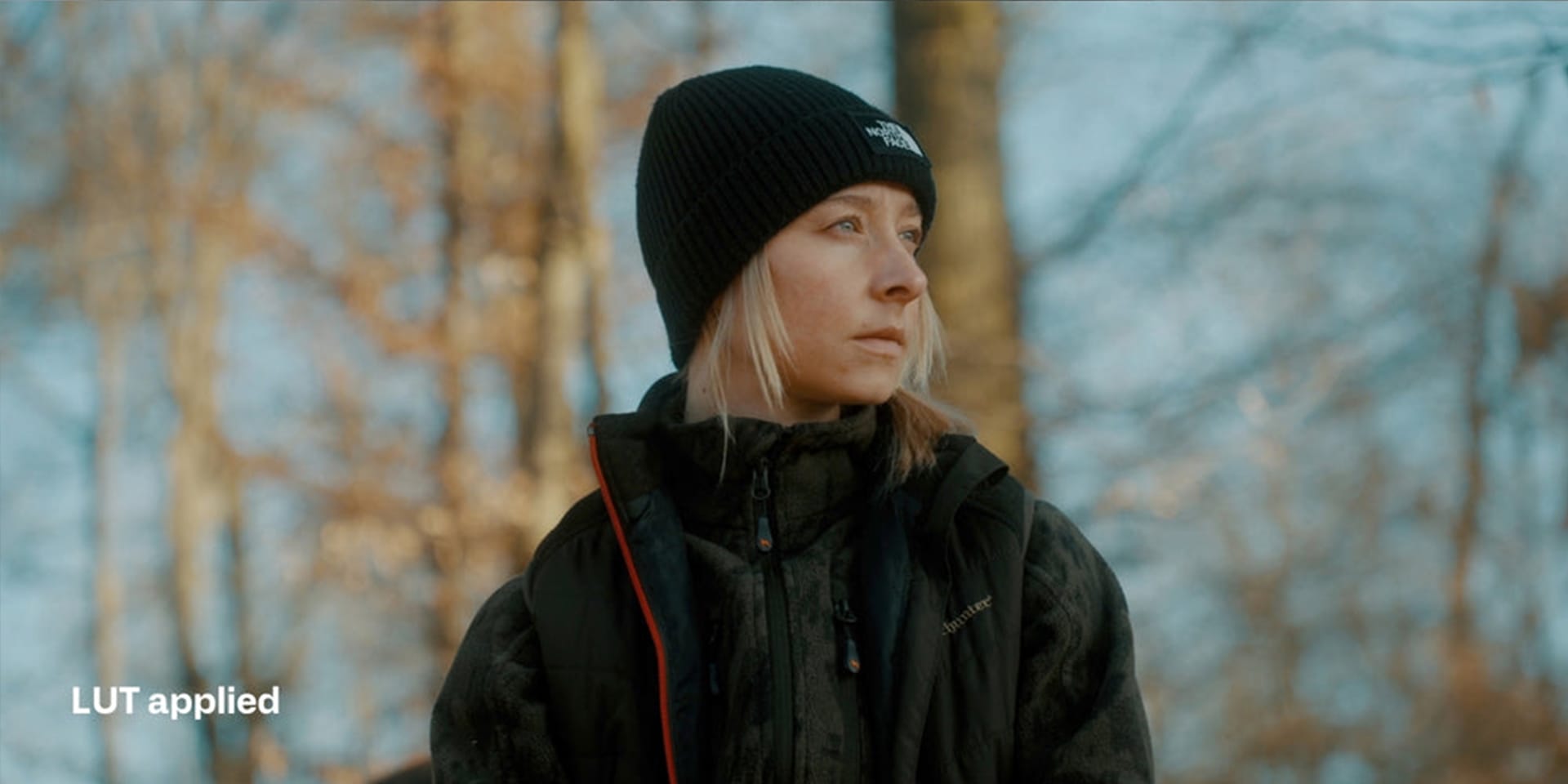 Sony S Log3 Cinematic LUTs after