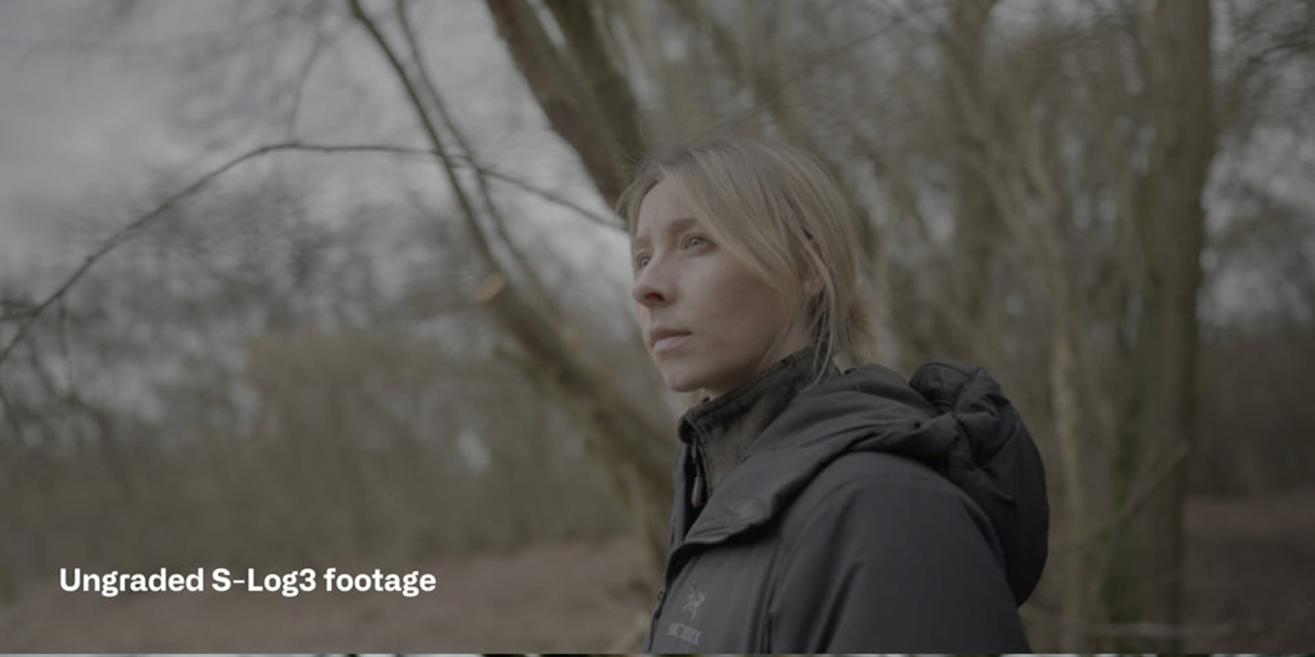 Sony S Log3 Cinematic LUTs before