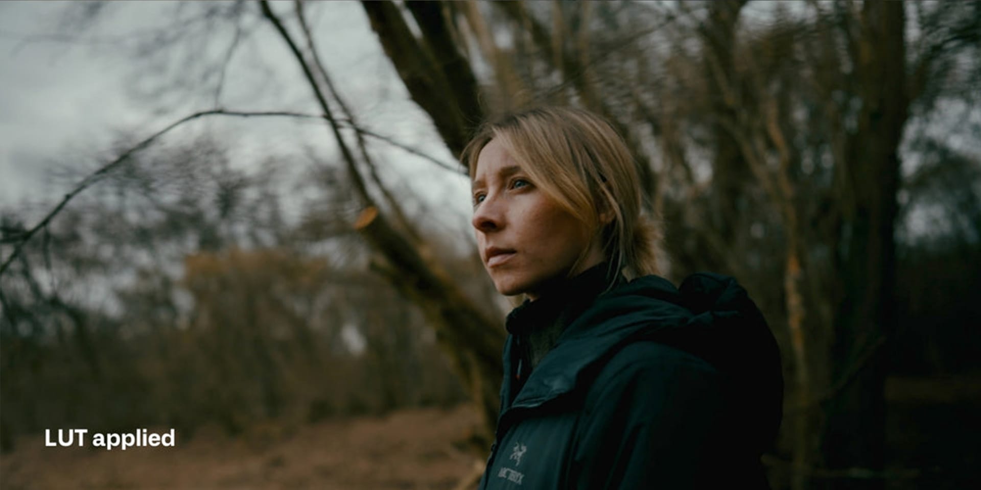 Sony S Log3 Cinematic LUTs after