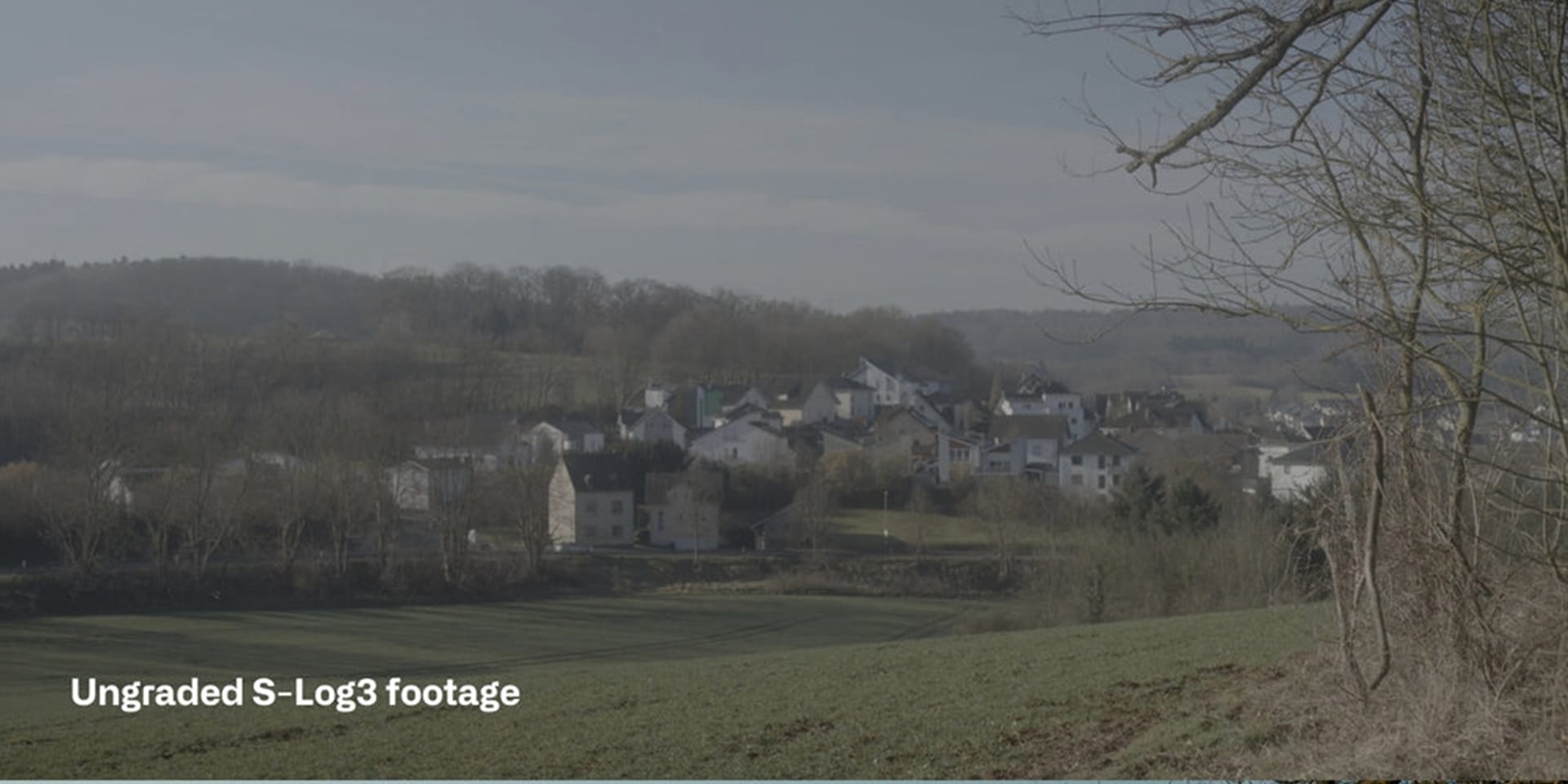 Sony S Log3 Cinematic LUTs before