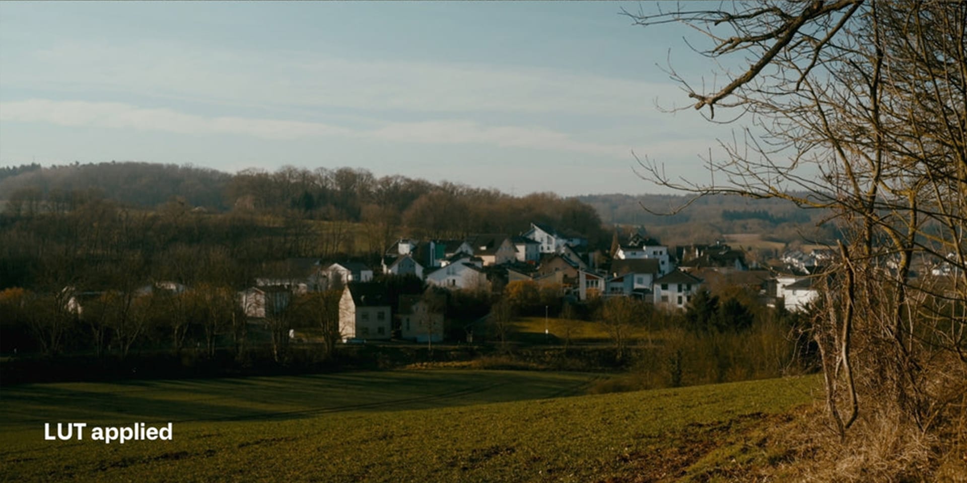 Sony S Log3 Cinematic LUTs after