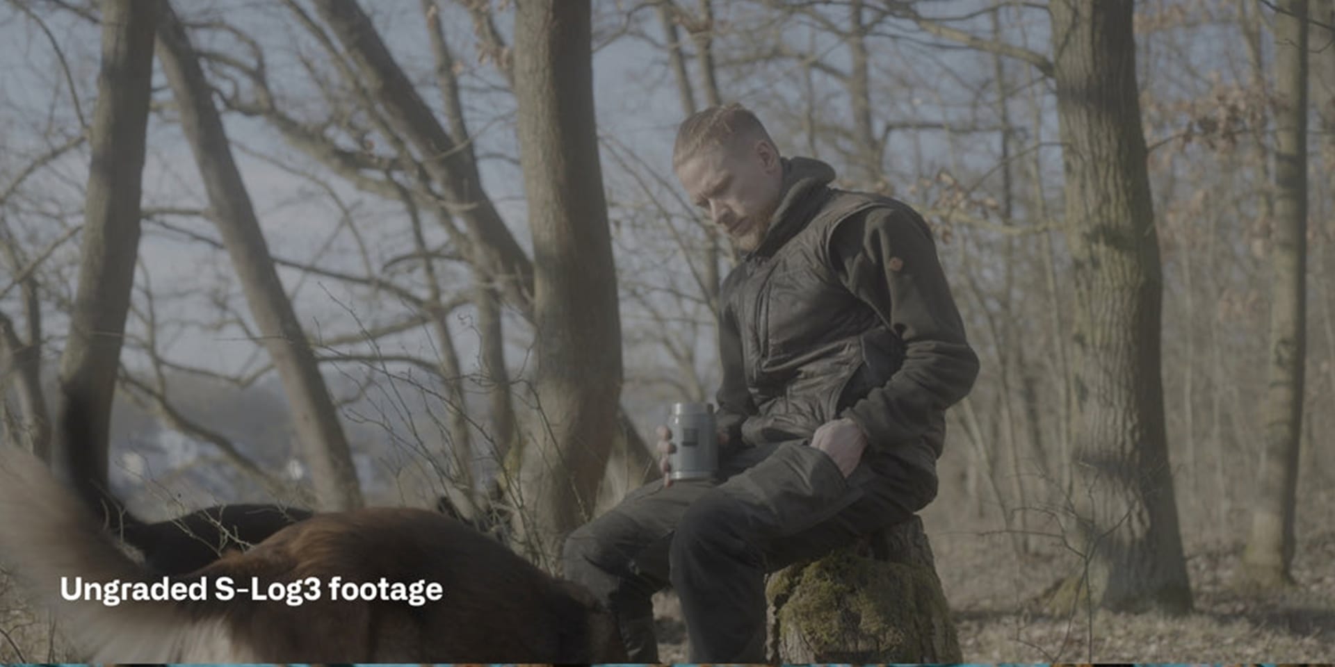 Sony S Log3 Cinematic LUTs before