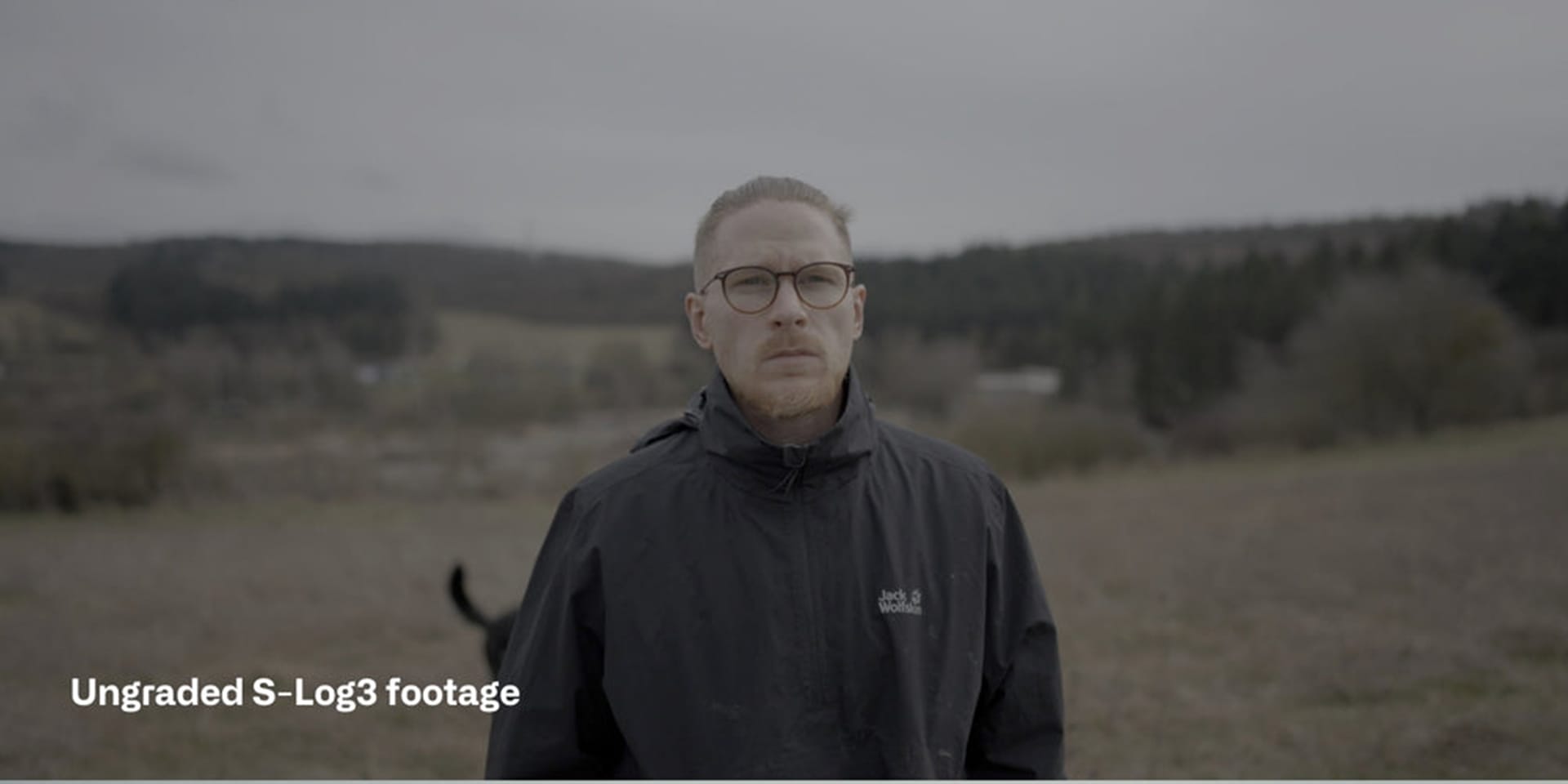 Sony S Log3 Cinematic LUTs before