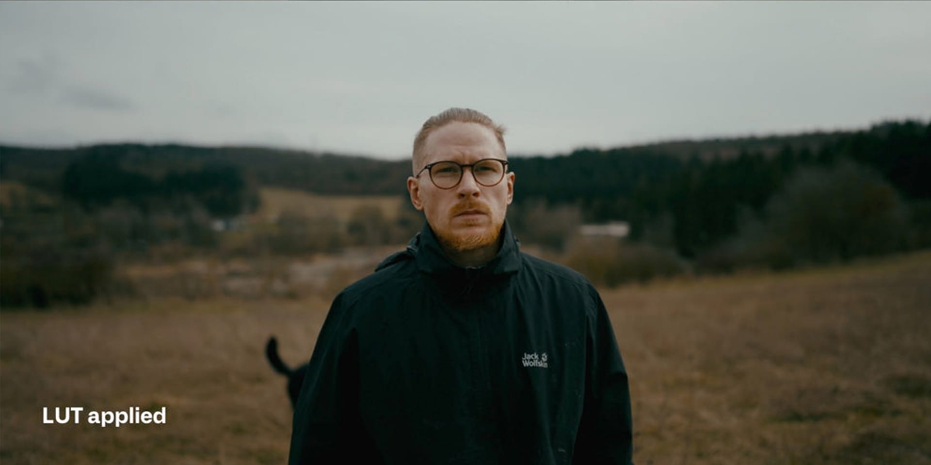 Sony S Log3 Cinematic LUTs after