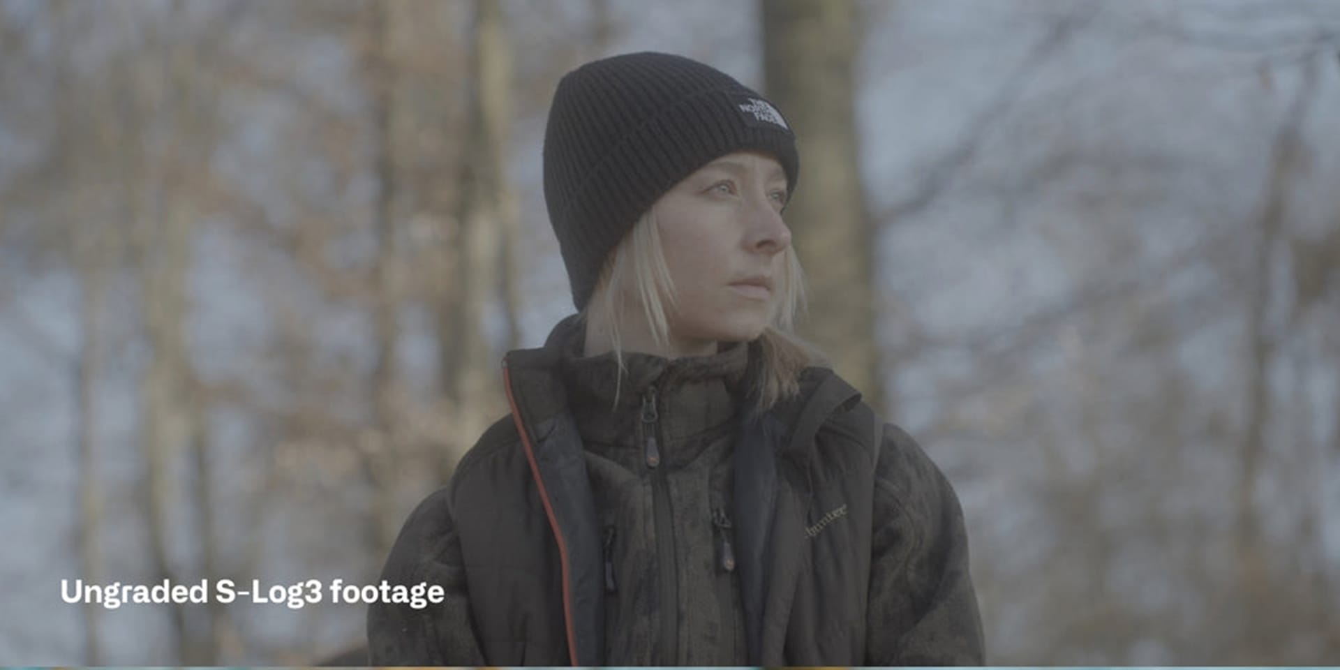 Sony S Log3 Cinematic LUTs before