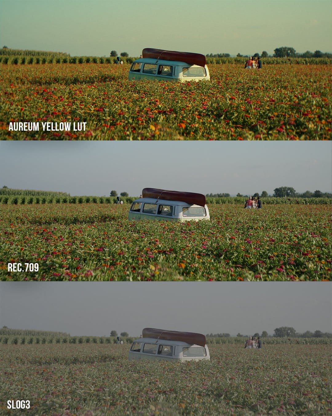 Sunset Film LUT Pack (8)