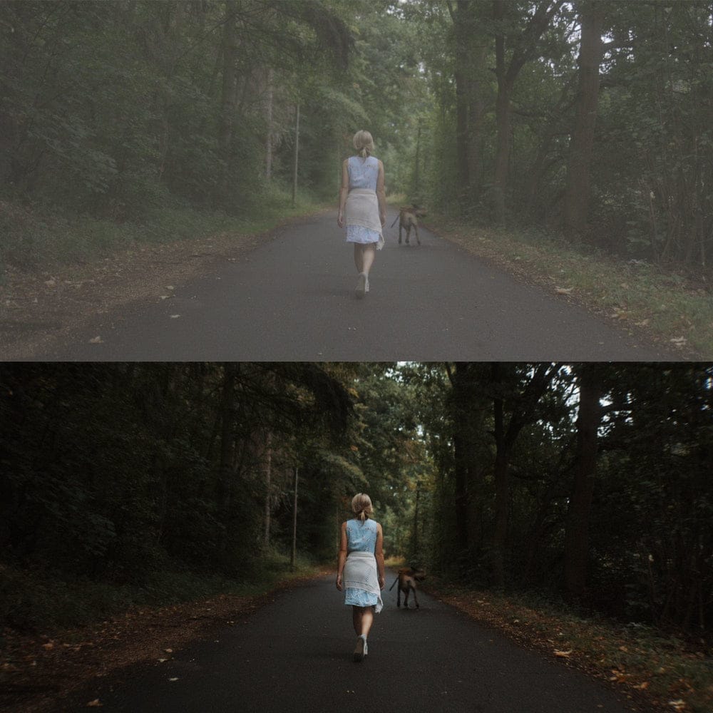 canon-r5-cinematic-luts