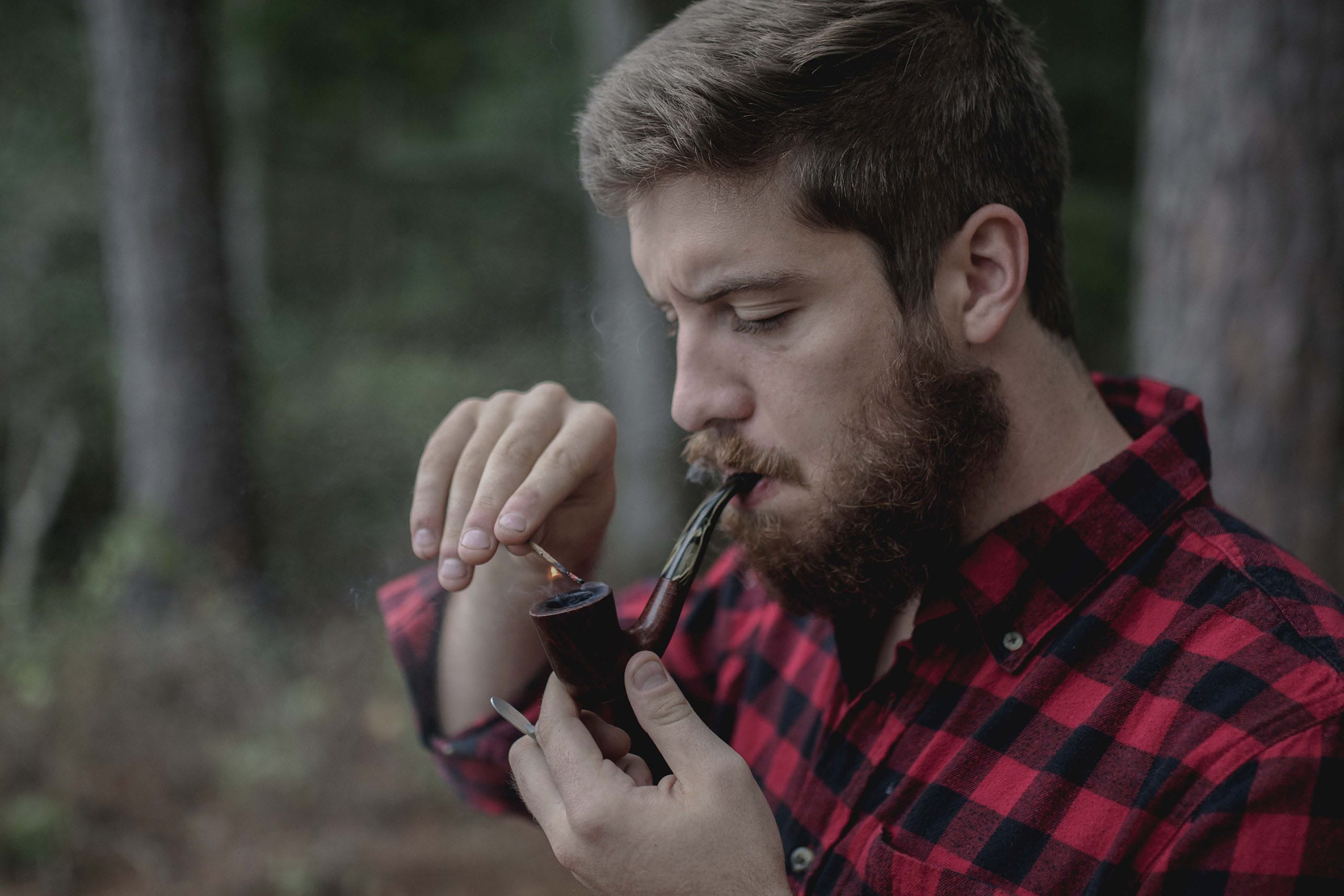 Beatnik Hipster Cinematic 3D LUTs before