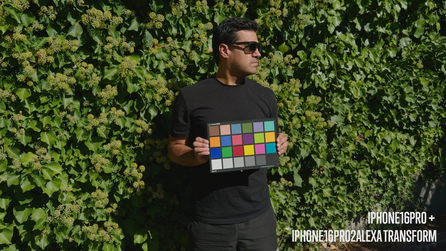 iPhone16Pro2Alexa LUTs after