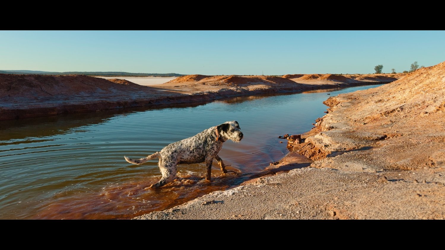 iPhone16Pro2Alexa LUTs (8)