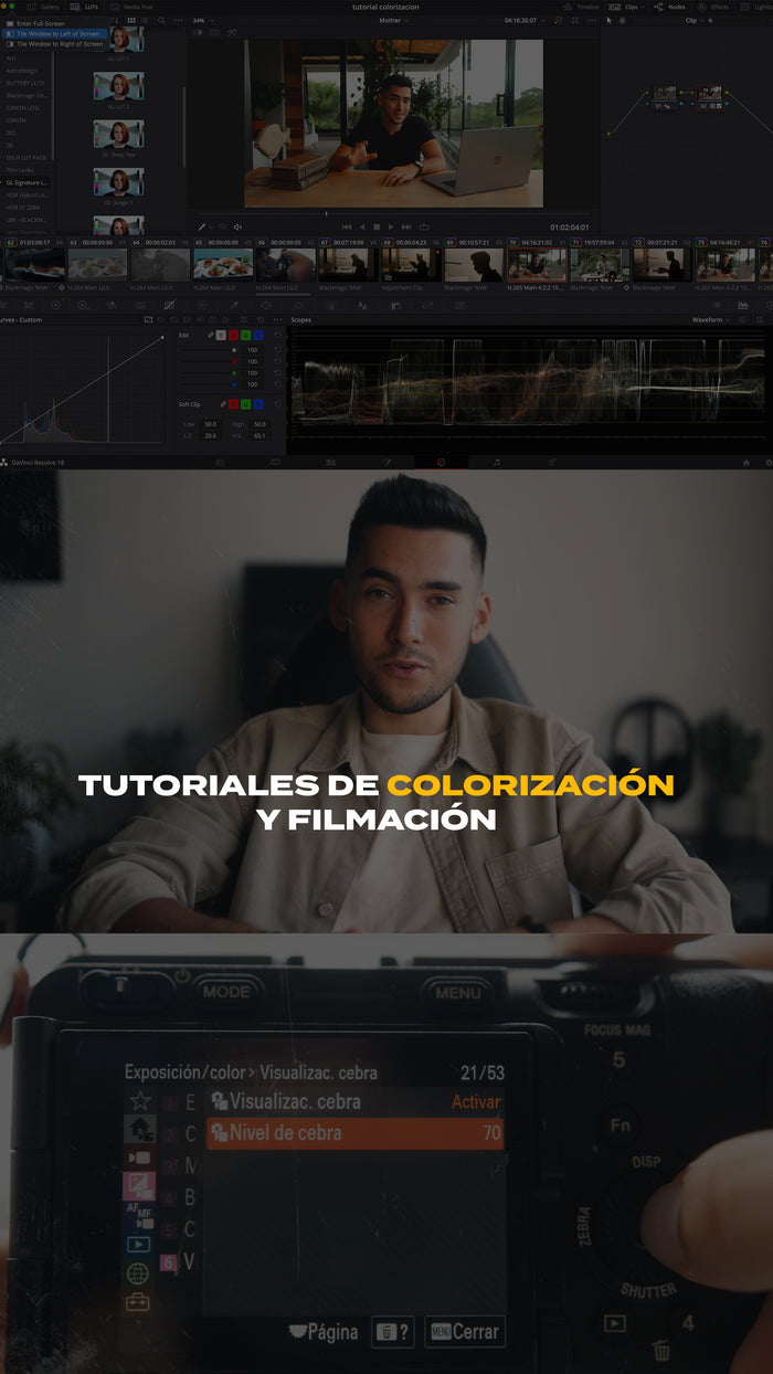 GL Signature LUTs